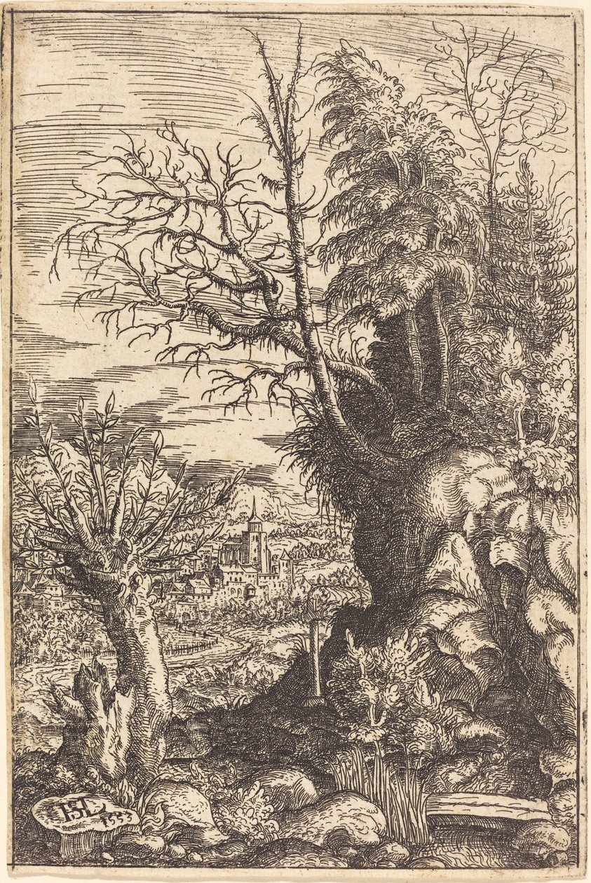 Paysage avec un Saule - Hanns Lautensack