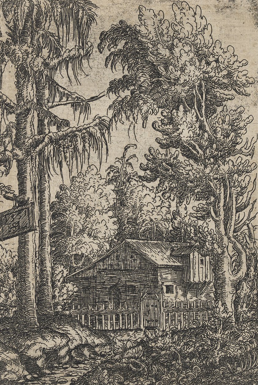 Une cabane et deux pins - Hanns Sebald Lautensack