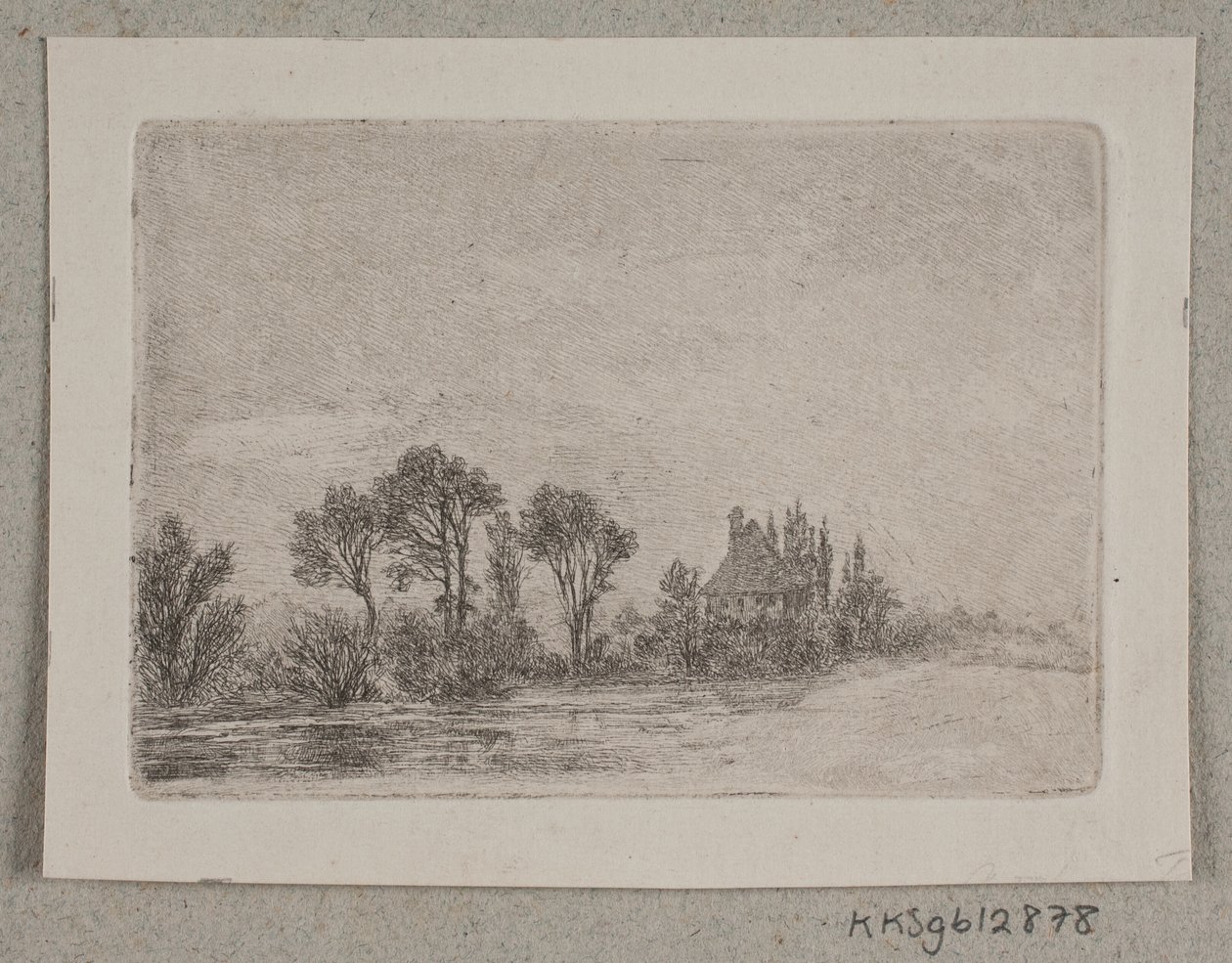 Paysage avec des arbres près de l