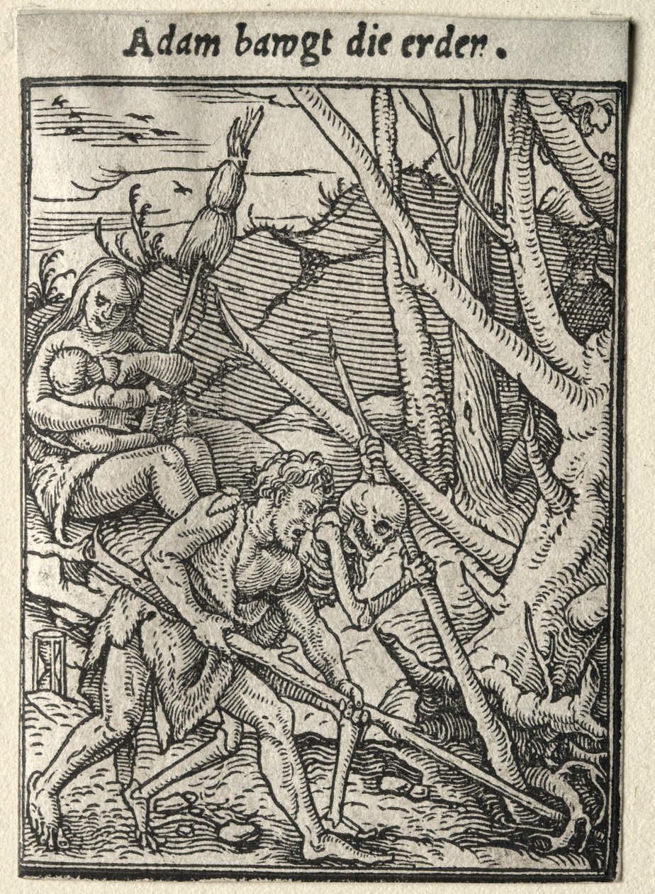 La danse macabre : Adam labourant la terre - Hans Holbein