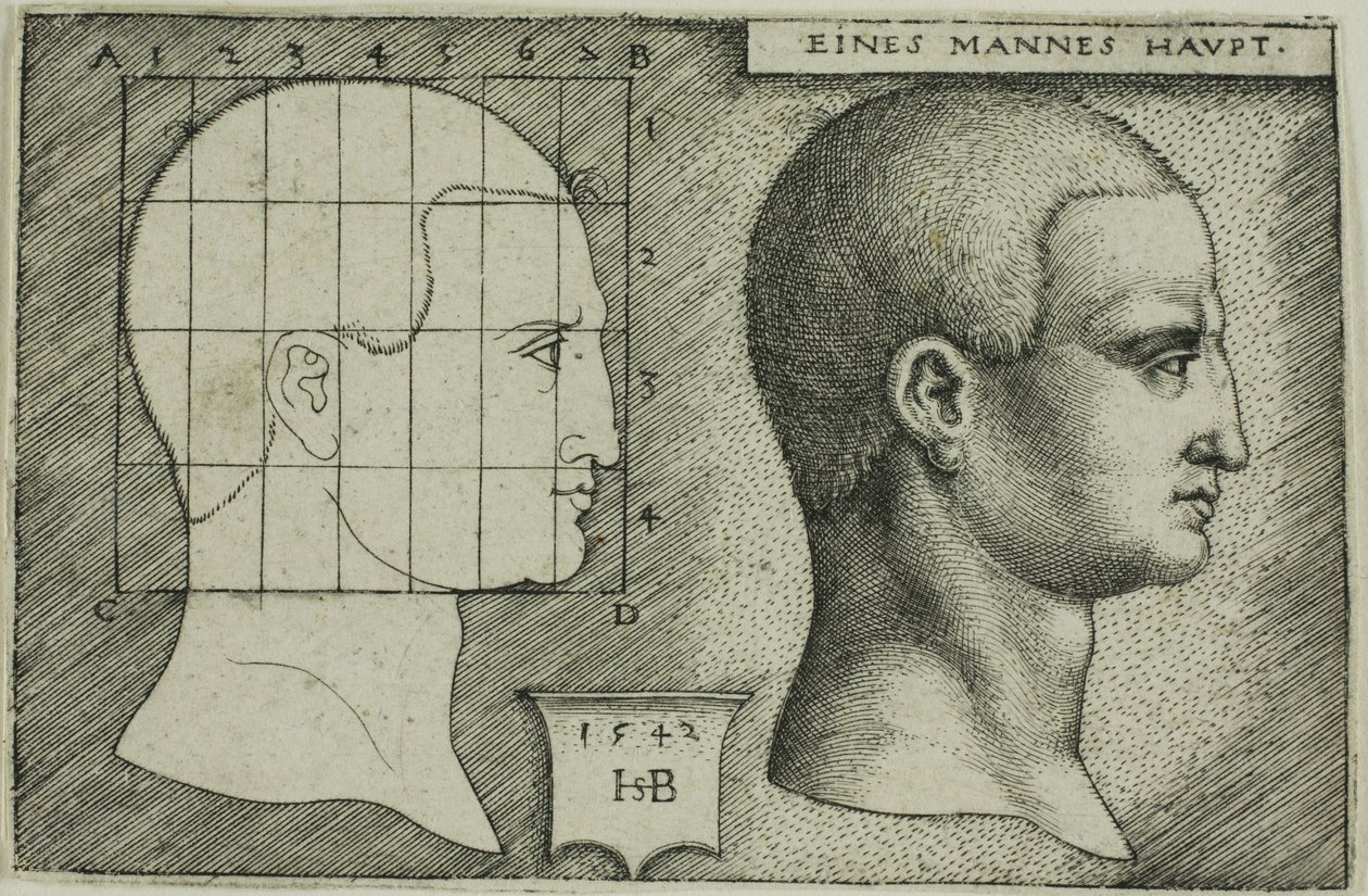 Étude de profil de la tête d