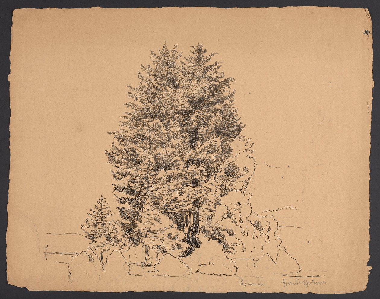 Les arbres de Bernau - Hans Thoma