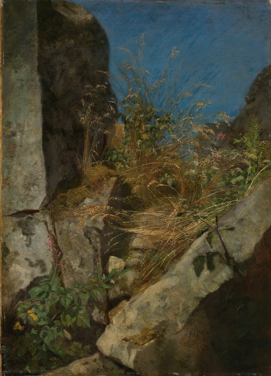 Des herbes entre les rochers - Hans Thoma