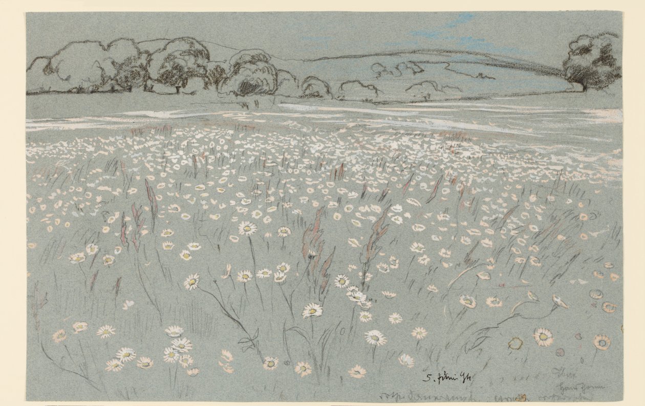 Prairie parsemée de marguerites - Hans Thoma