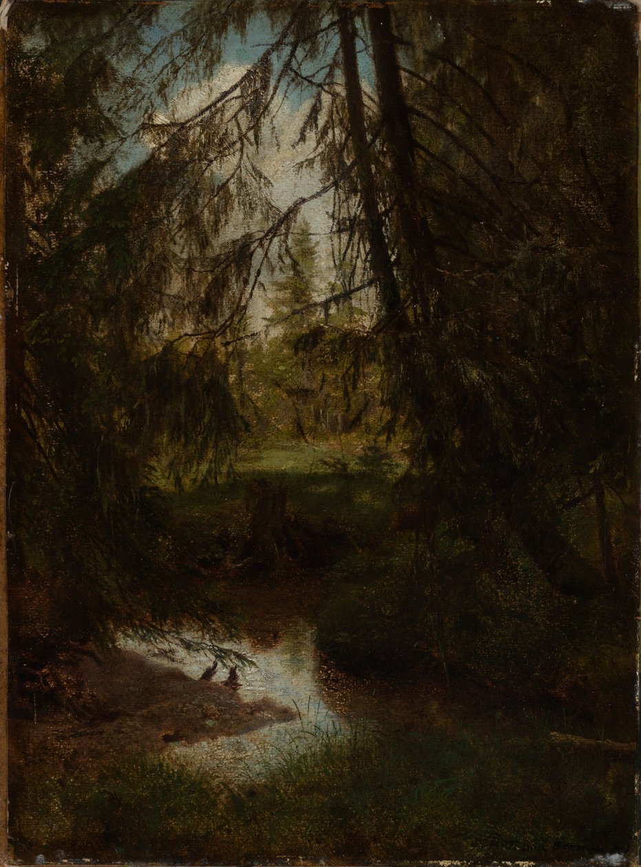 Sapin près du ruisseau forestier - Hans Thoma