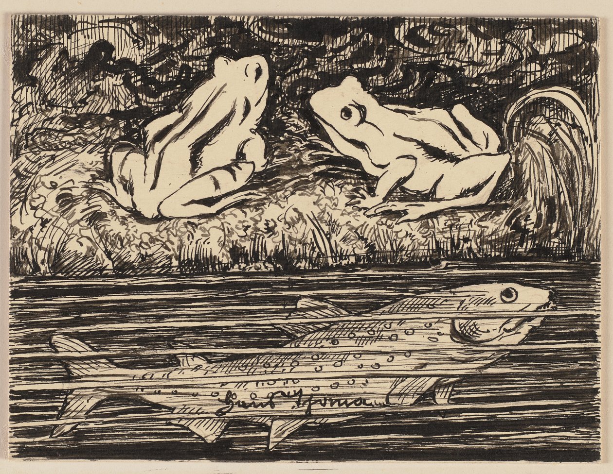 Dessin pour un abécédaire : grenouille - Hans Thoma