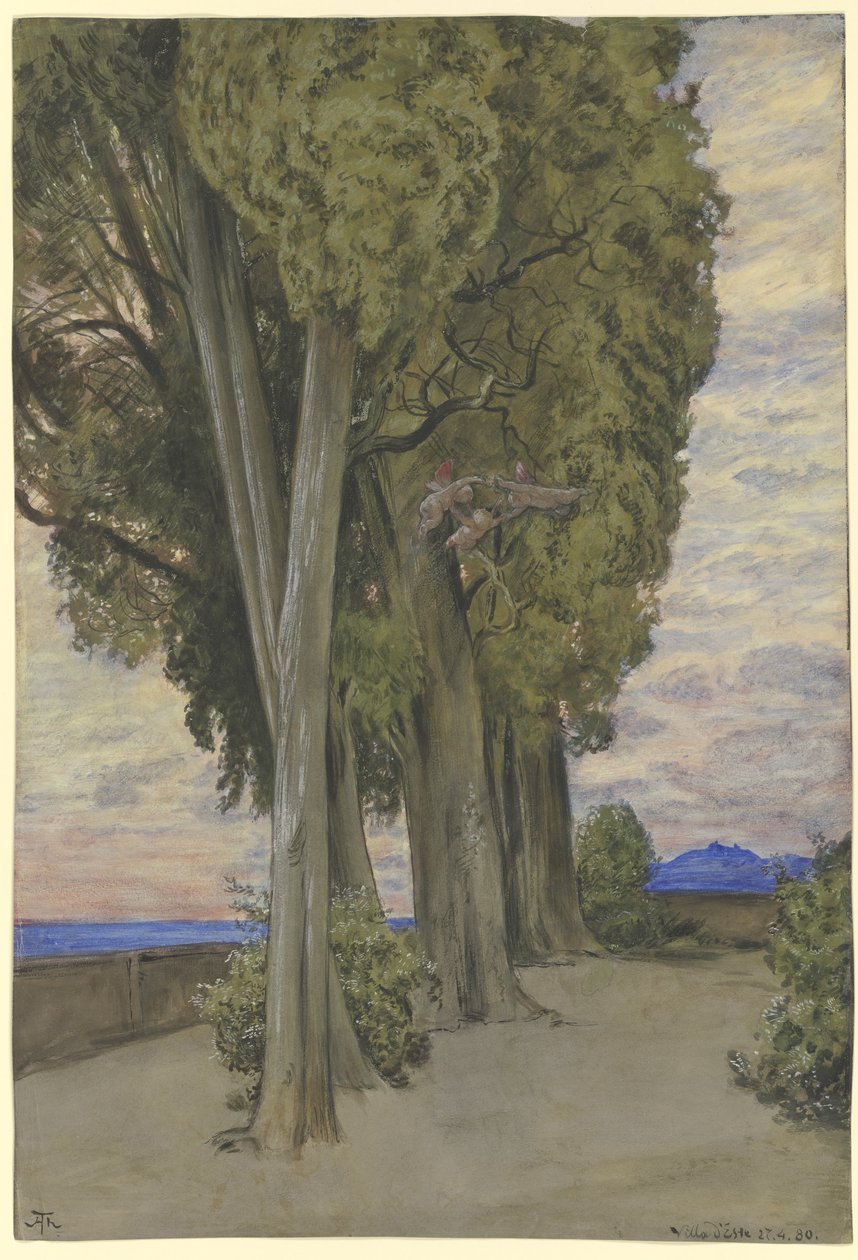 Des cyprès à la Villa d
