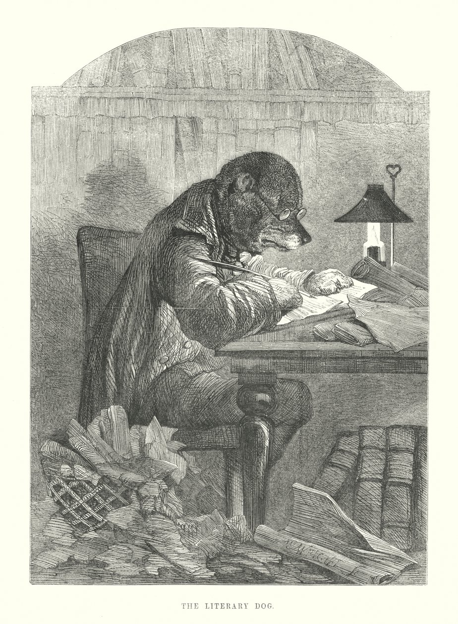 Drôles de chiens : Le chien littéraire (gravure) - Harrison William Weir
