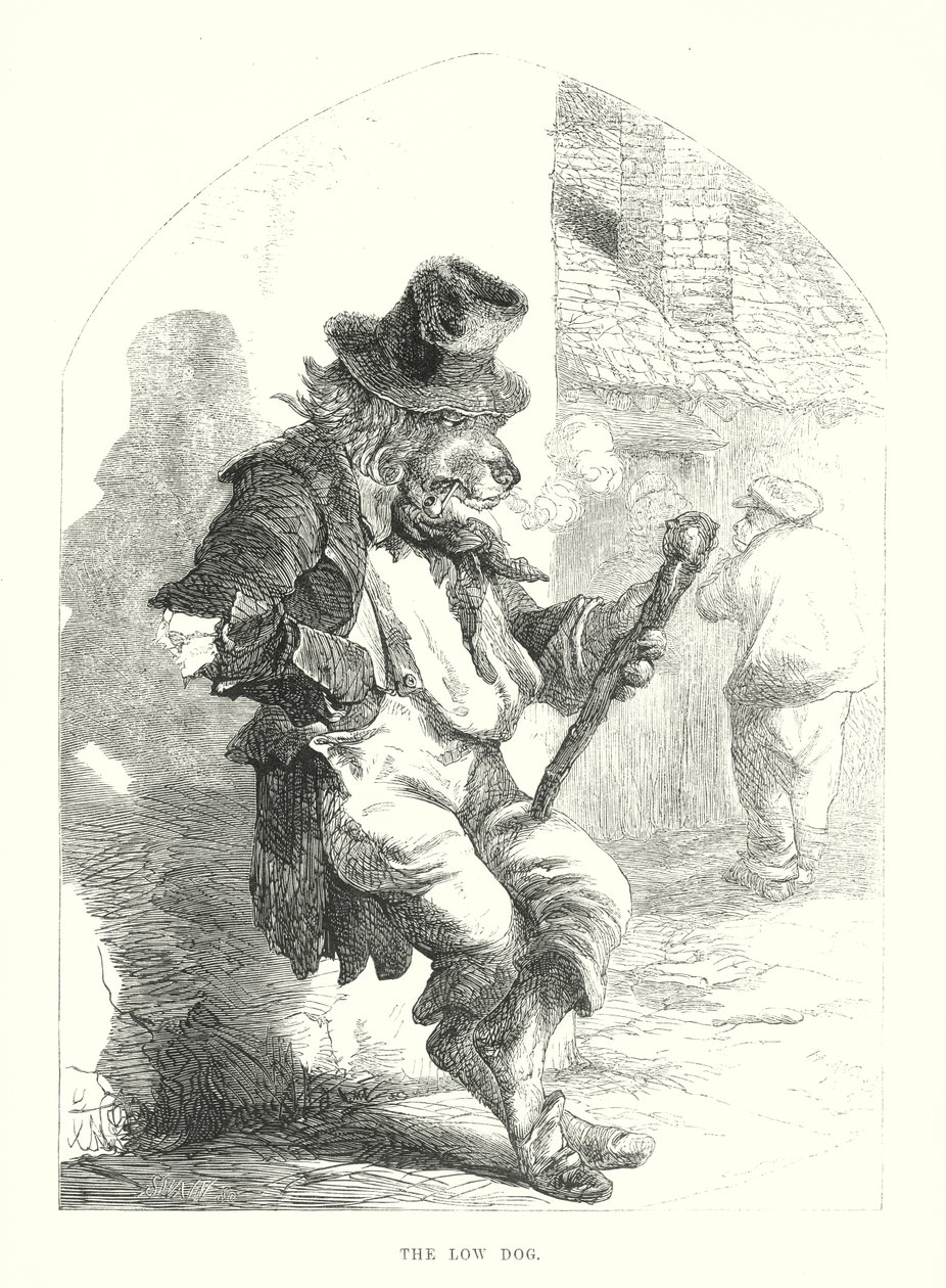 Chiens drôles : Le chien bas (gravure) - Harrison William Weir