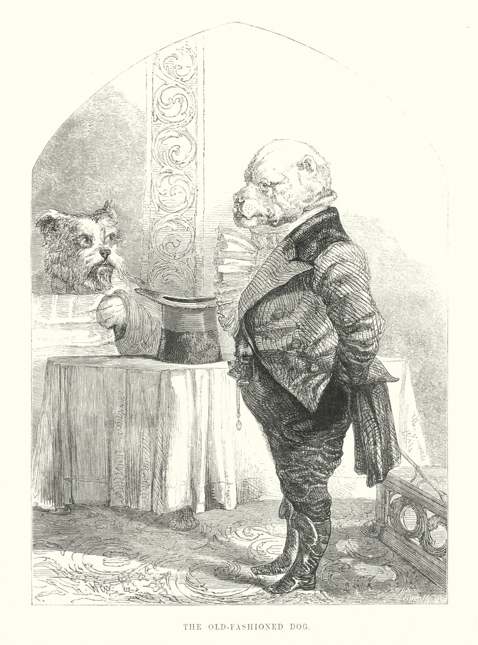 Drôles de chiens : Le chien à l