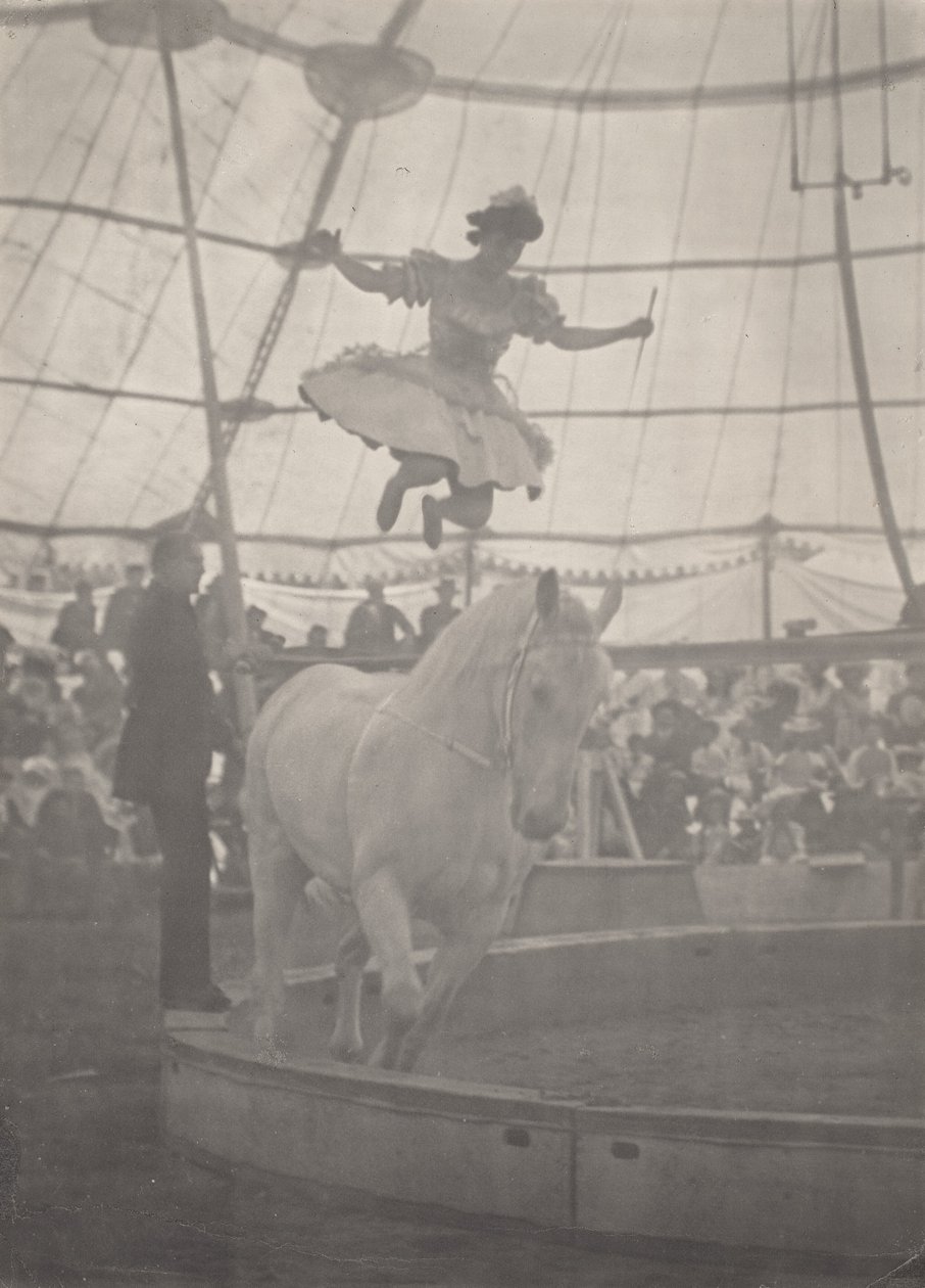 Le Cirque - Harry C. Rubincam