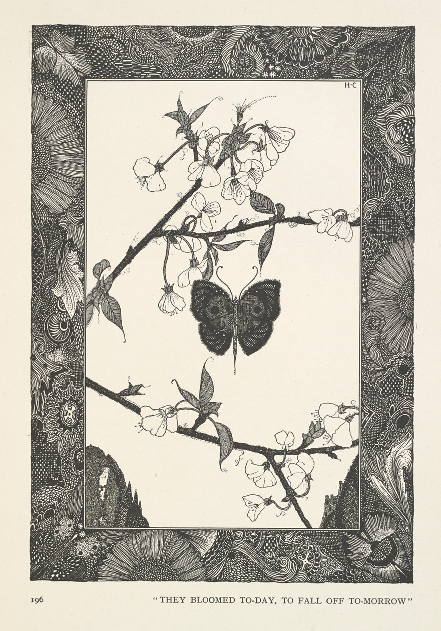 Le Papillon. Ils ont fleuri aujourd