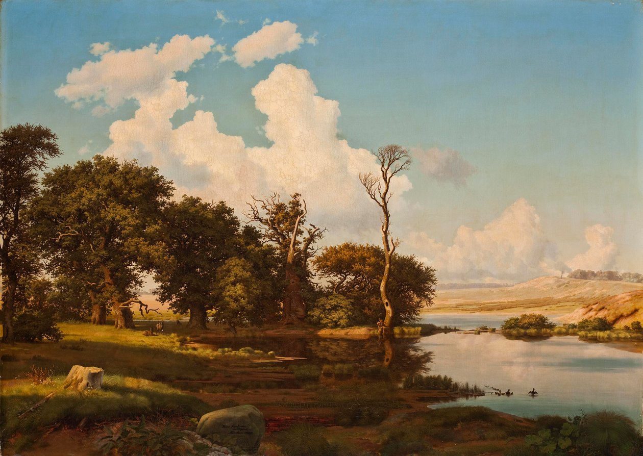 Danois : Paysage danois, chênes au bord d