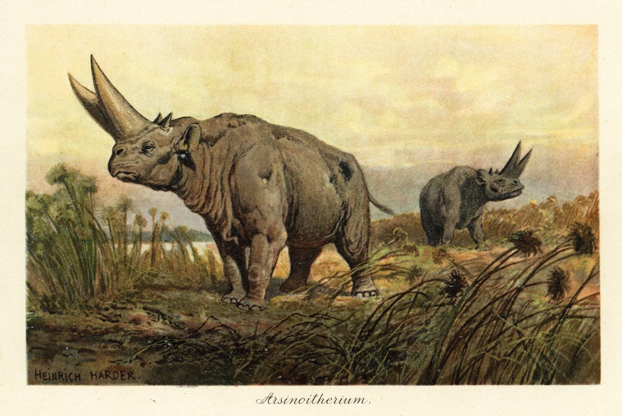 Arsinotherium, genre éteint de mammifères paenungulés (impression) - Heinrich Harder