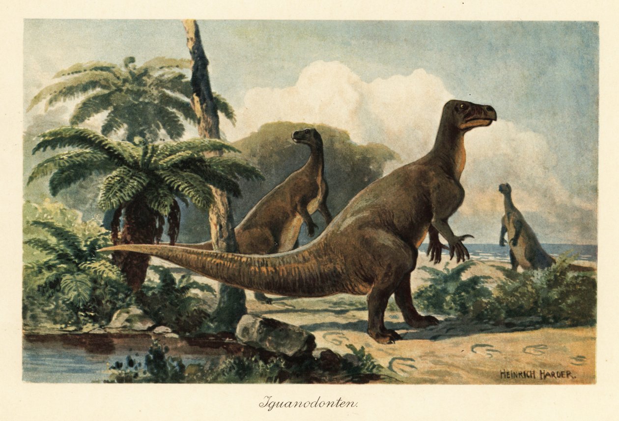 Iguanodon bernissartensis dans une forêt de fougères préhistorique - Heinrich Harder