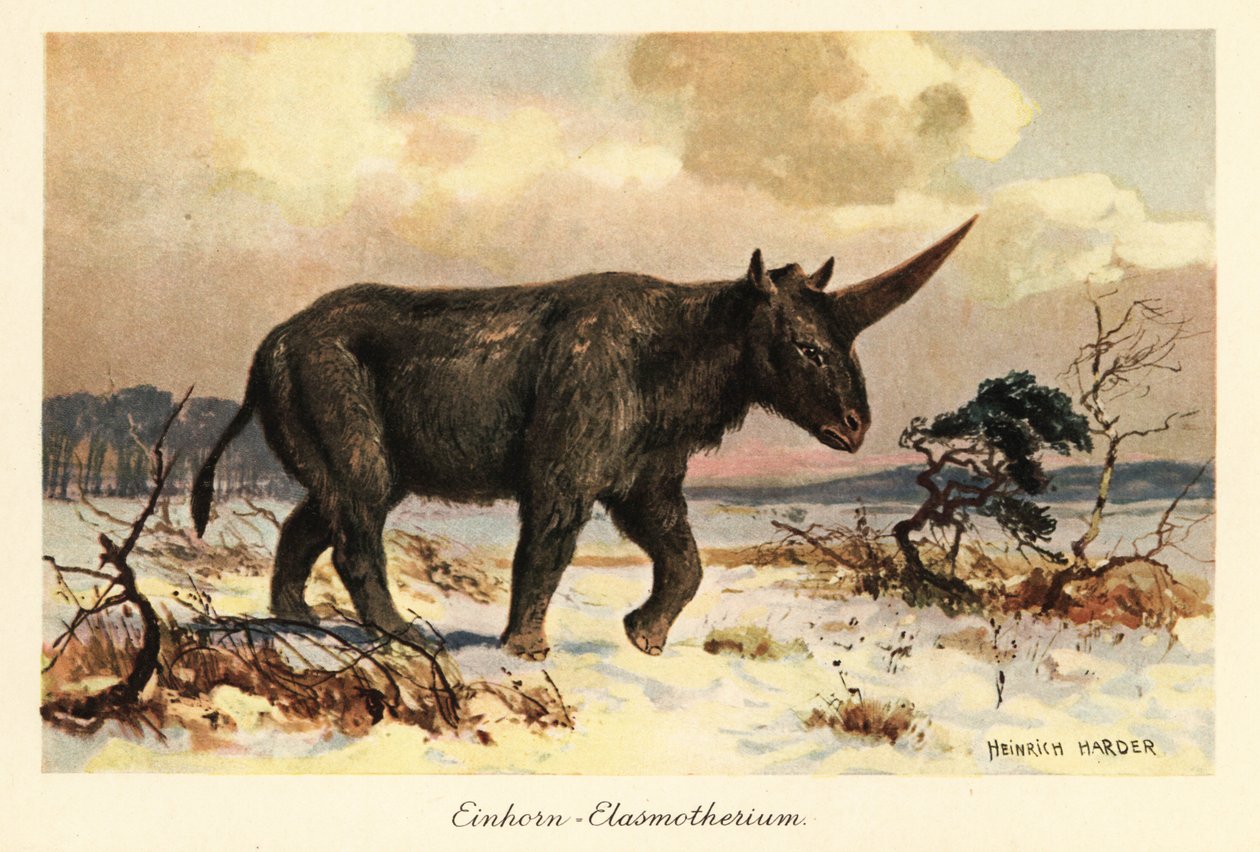 Licorne sibérienne, Elasmotherium sibiricum, sur une plaine enneigée - Heinrich Harder