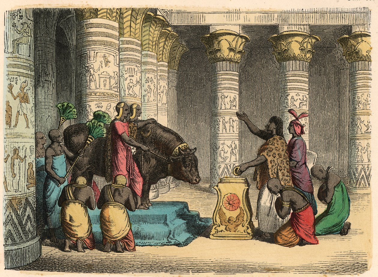 Égypte antique : Culte du taureau Apis - Heinrich Leutemann
