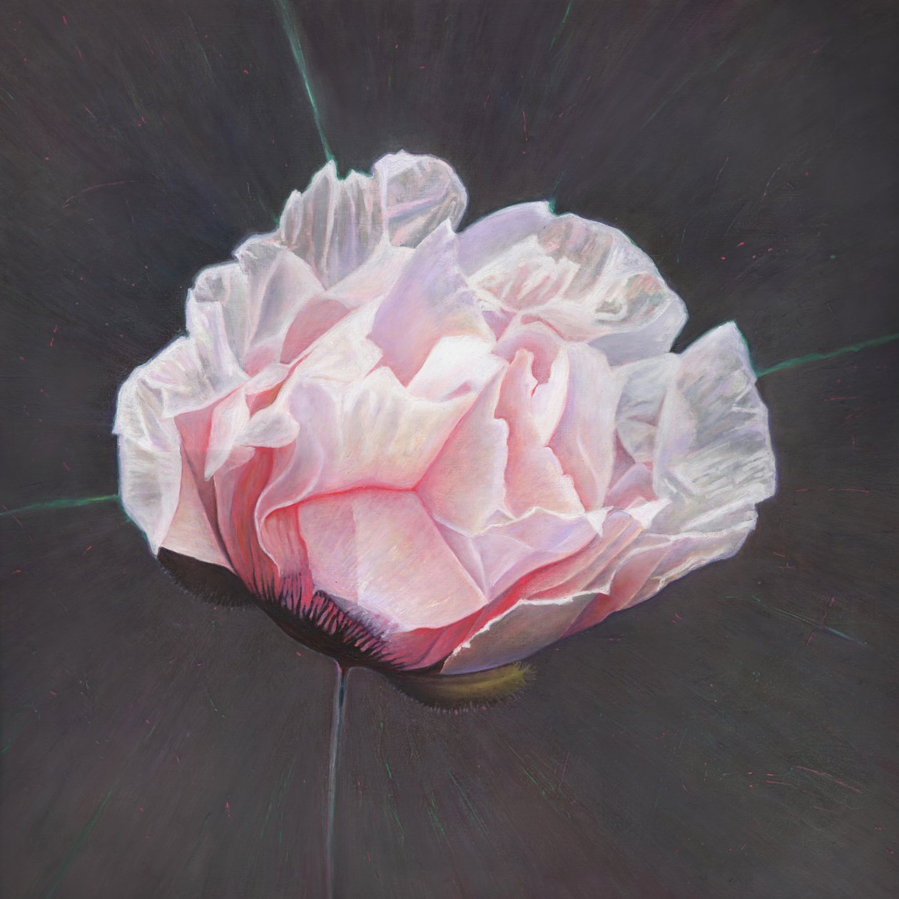 Émergence, 2015 - Helen White