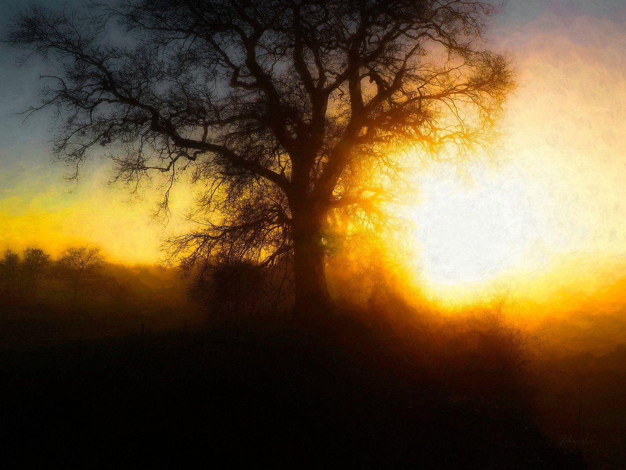 Moment fondu, 2018 - Helen White