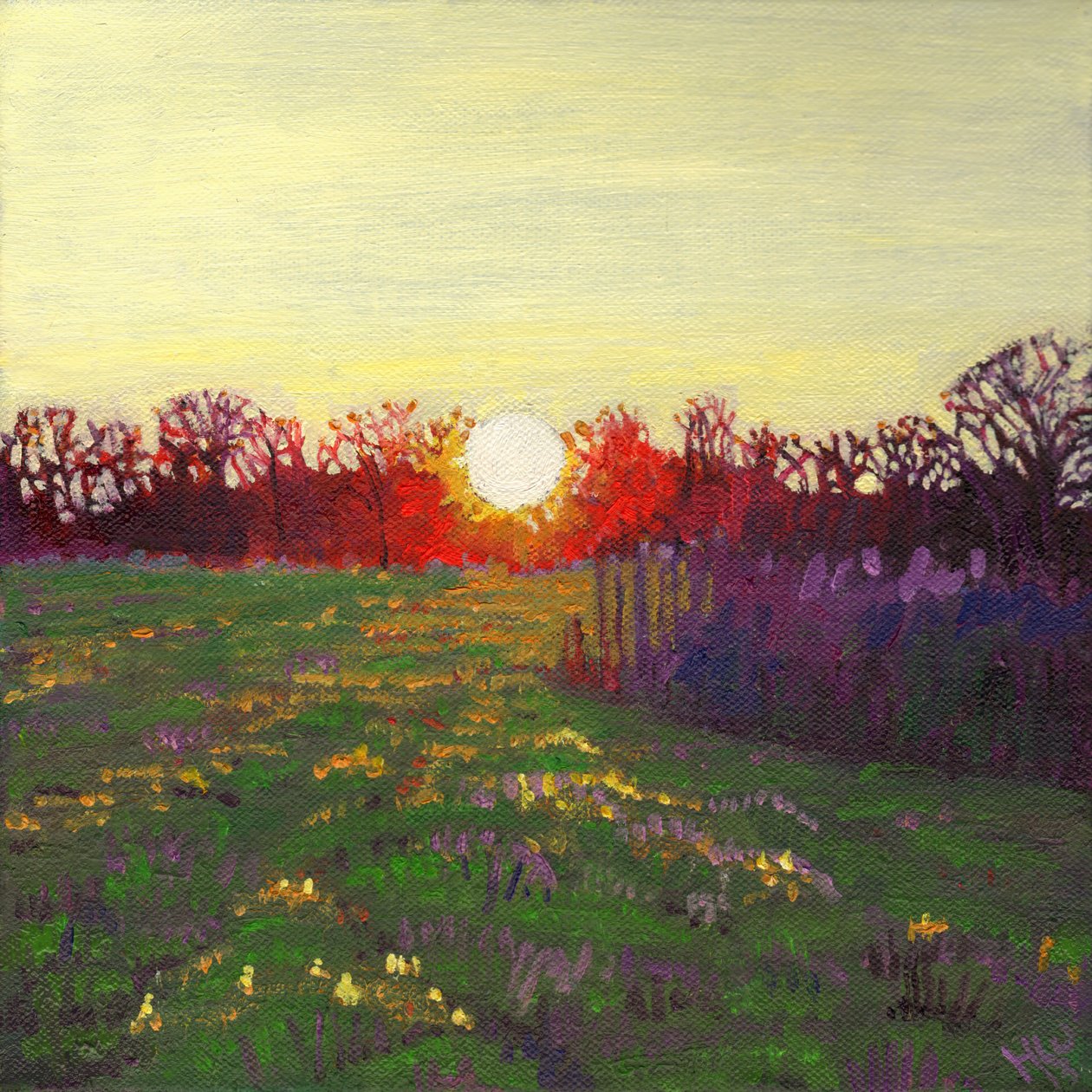 Chemin de lumière, 2013 - Helen White