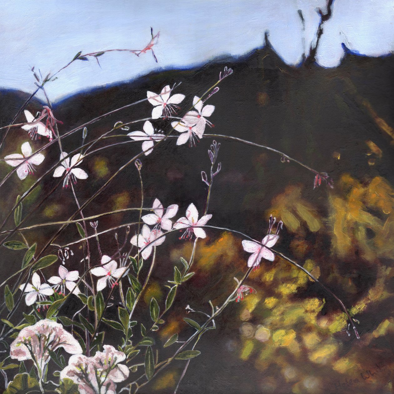Jardin provençal I, 2014 - Helen White