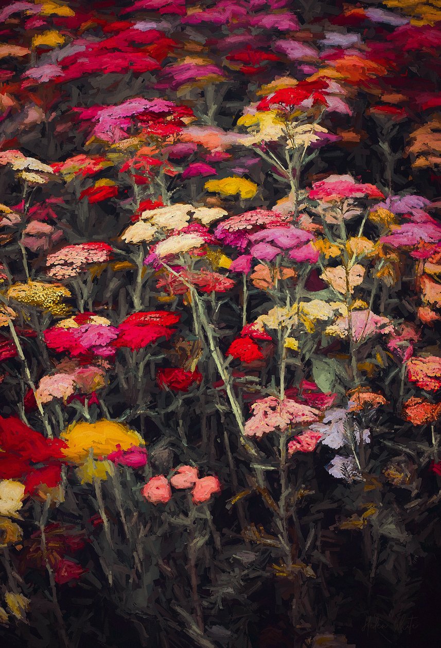 Couleurs sauvages, 2018 - Helen White