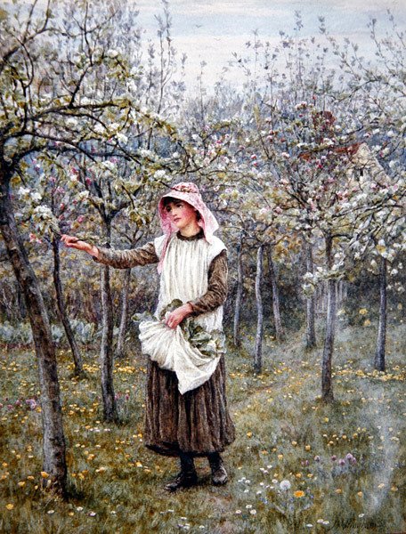 Temps de floraison - Helen Allingham