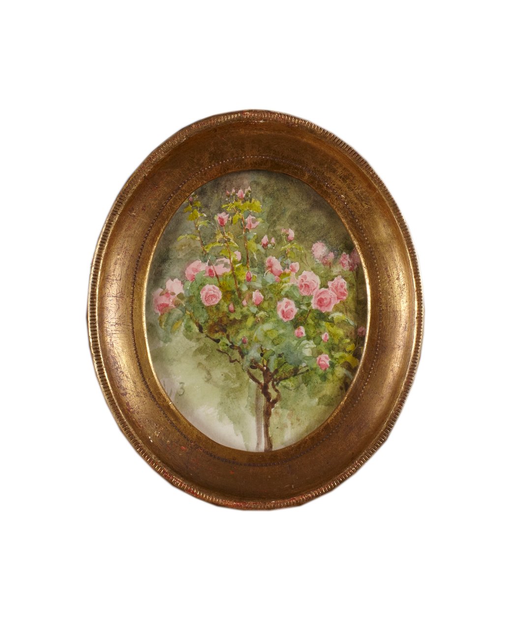 Buisson de roses - Helen Allingham