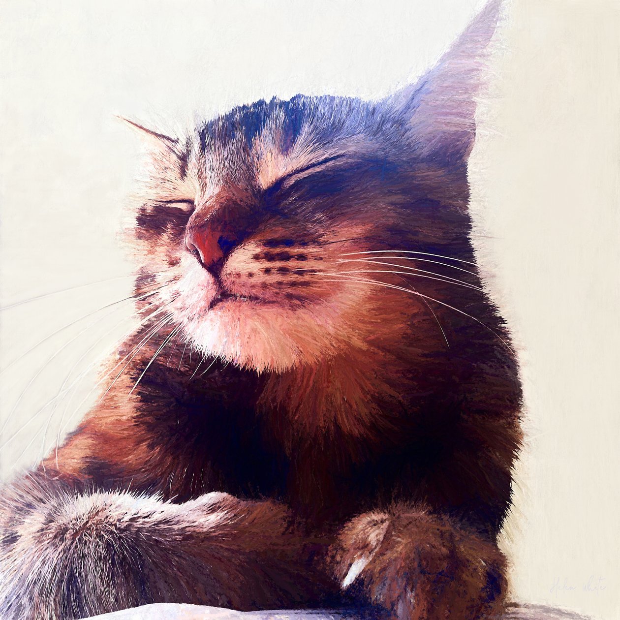 Le chat qui a eu la crème - Helen White