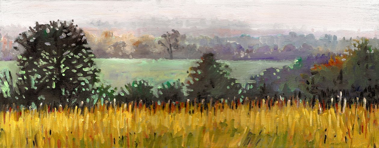 Vers Grazeley, 2012 (huile sur toile) - Helen White