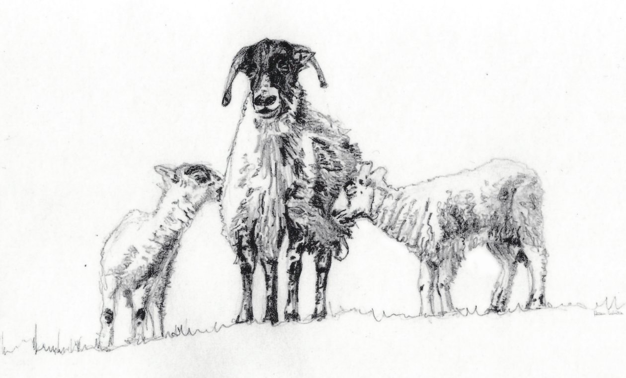 We Three, 2012 - Helen White