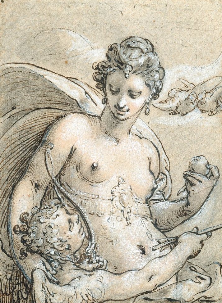 Vénus - Hendrik Goltzius
