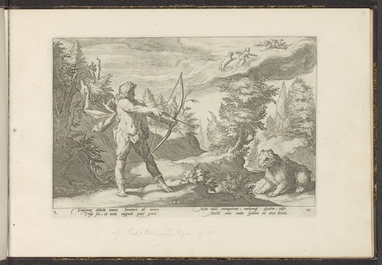 Arcas vise Callisto (Ovidius