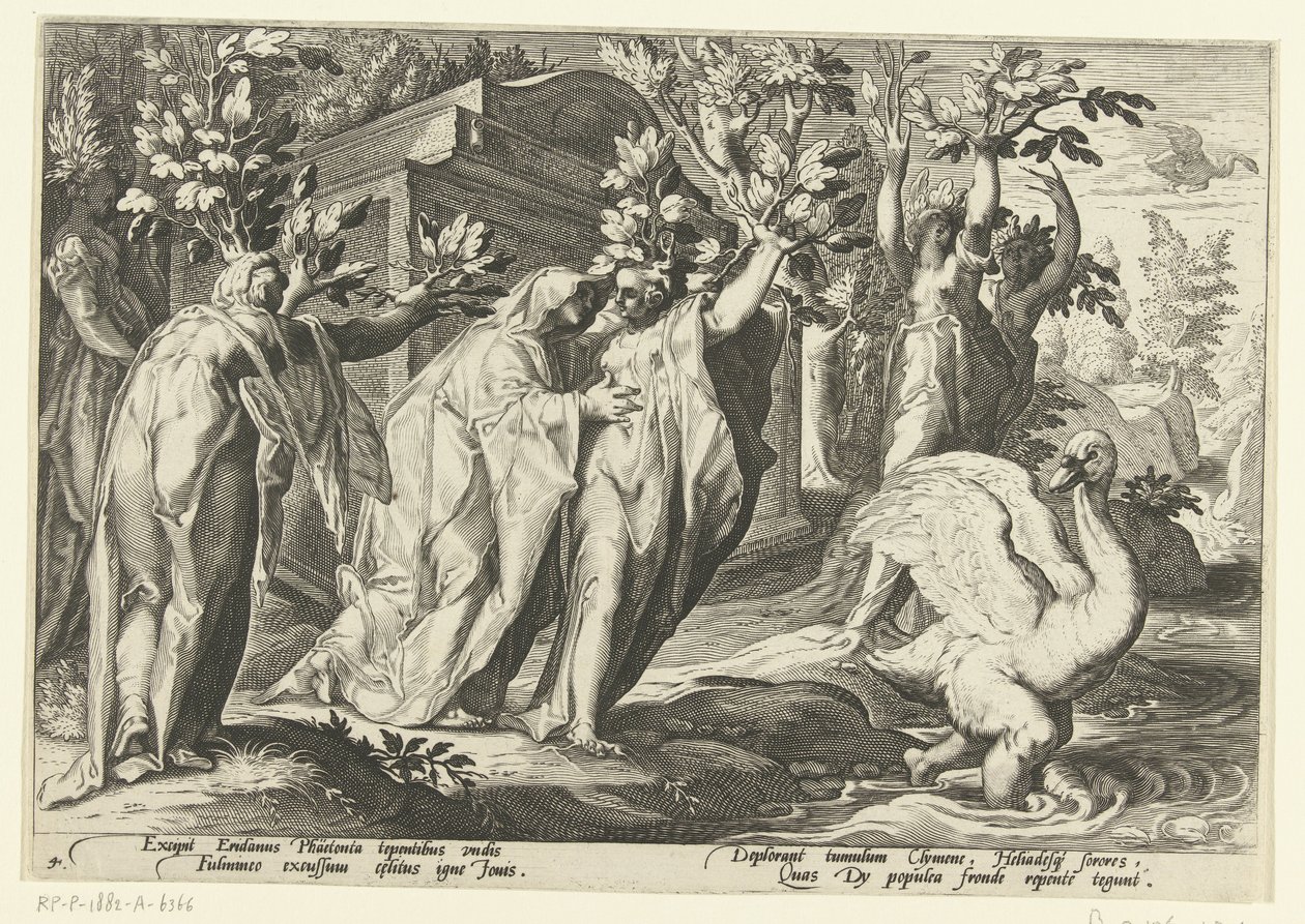 Les sœurs de Phaéthon se transforment en peupliers et son ami en cygne (Ovidius
