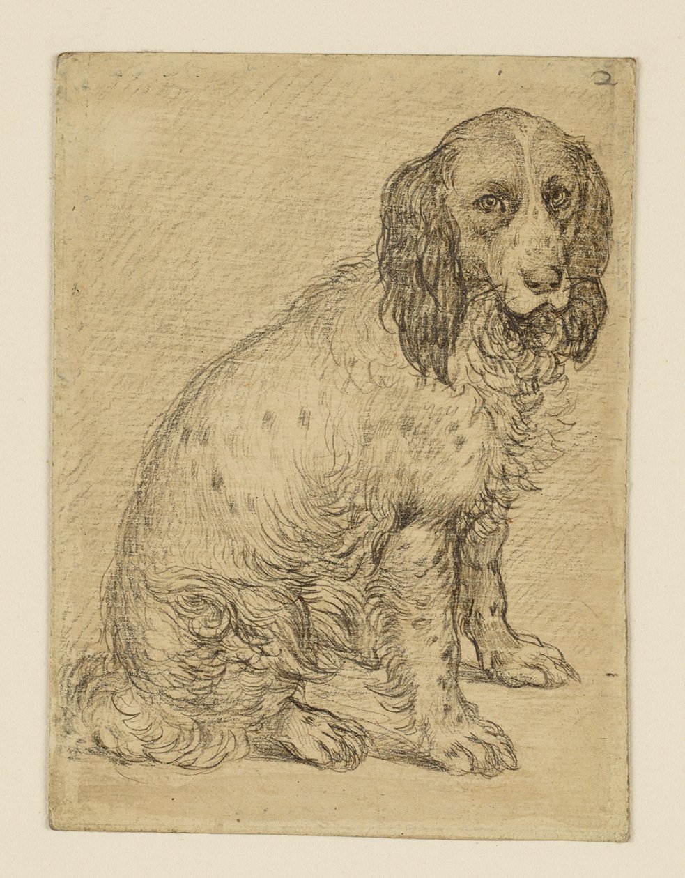 Chien d