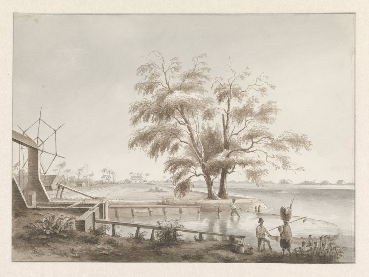 Vue d