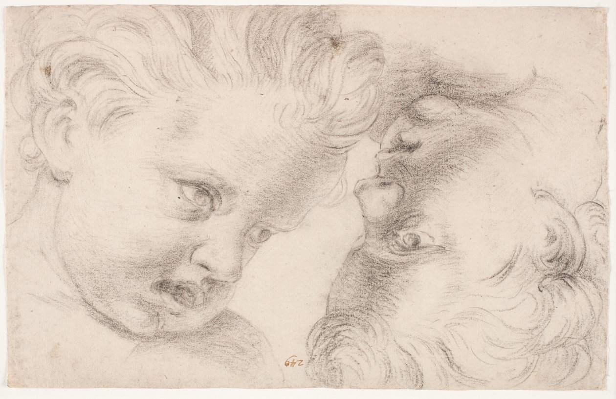 Deux têtes d
