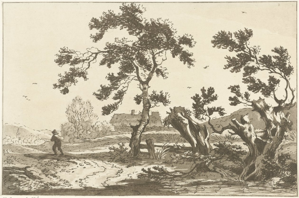 Arbres le long d