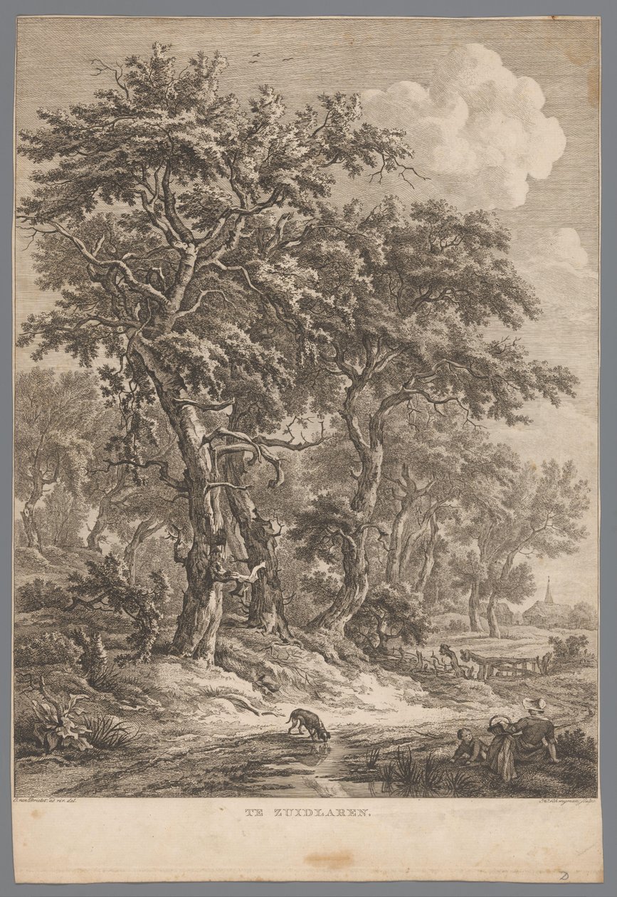 Paysage près de Zuidlaren - Hendrik Schwegman