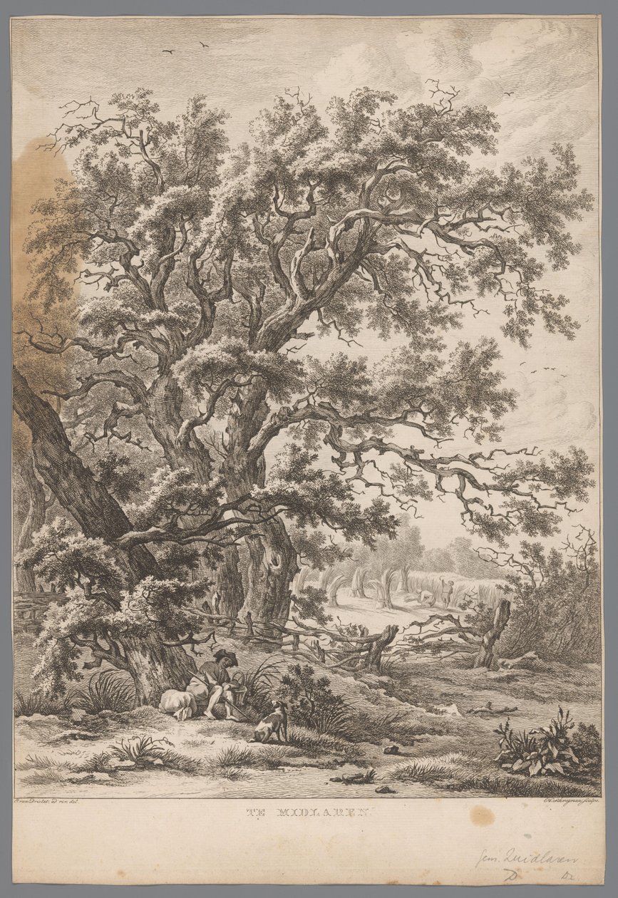 Paysage avec un homme et un chien sous un arbre à Midlaren (Negen gezichten in Drenthe) - Hendrik Schwegman