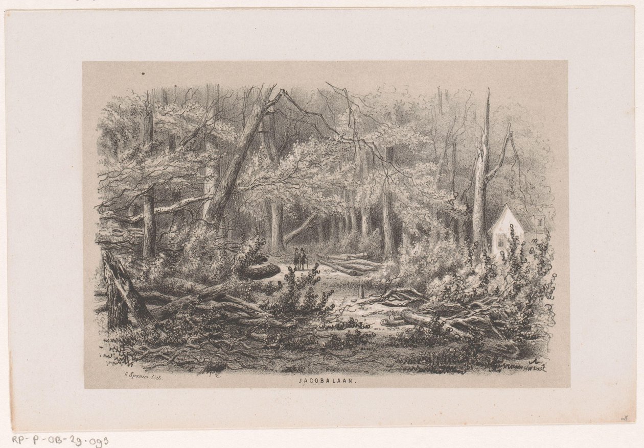 Omgewaaide bomen aan de Jacobalaan, na de storm van 28 mei 1860 - Hendrik Wilhelmus Last