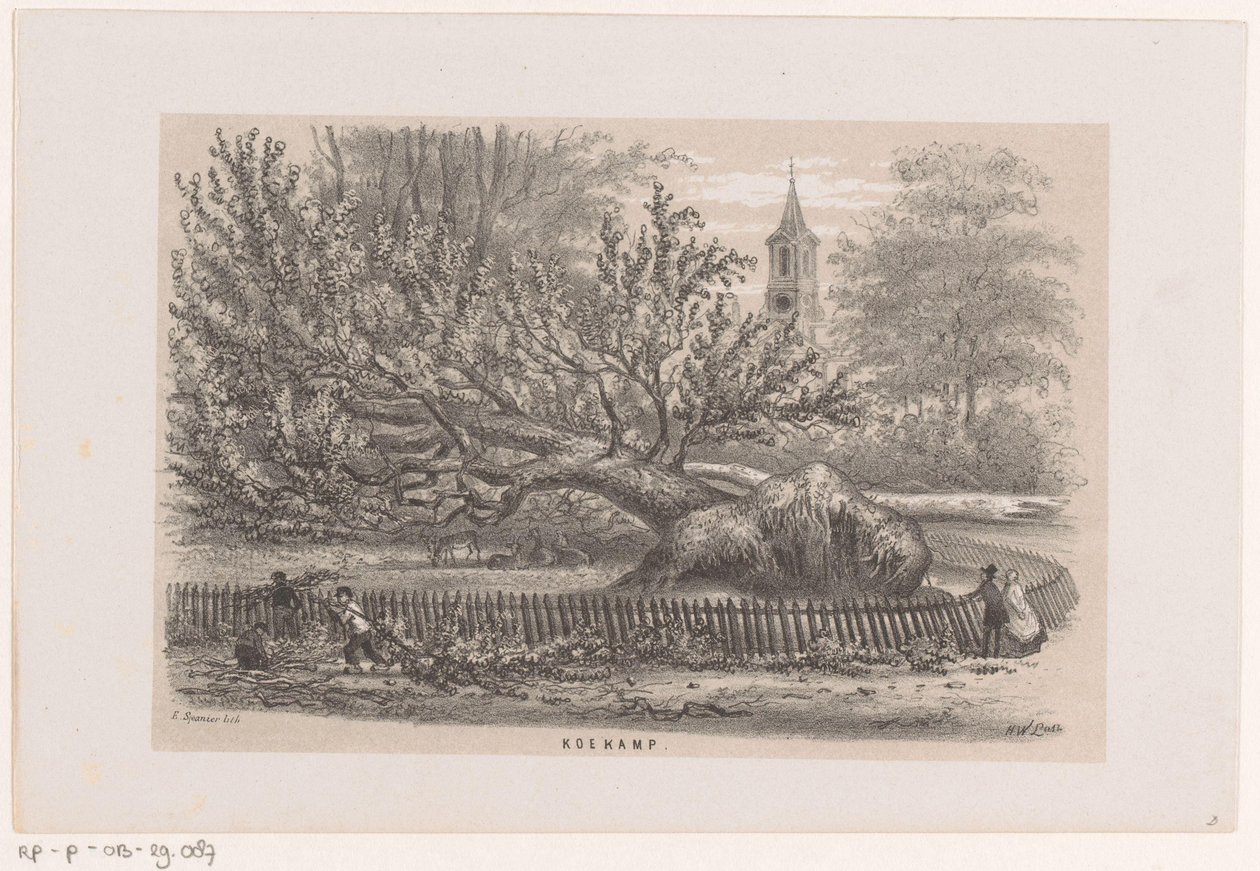Arbre renversé près de la Koekamp, après la tempête du 28 mai 1860 - Hendrik Wilhelmus Last