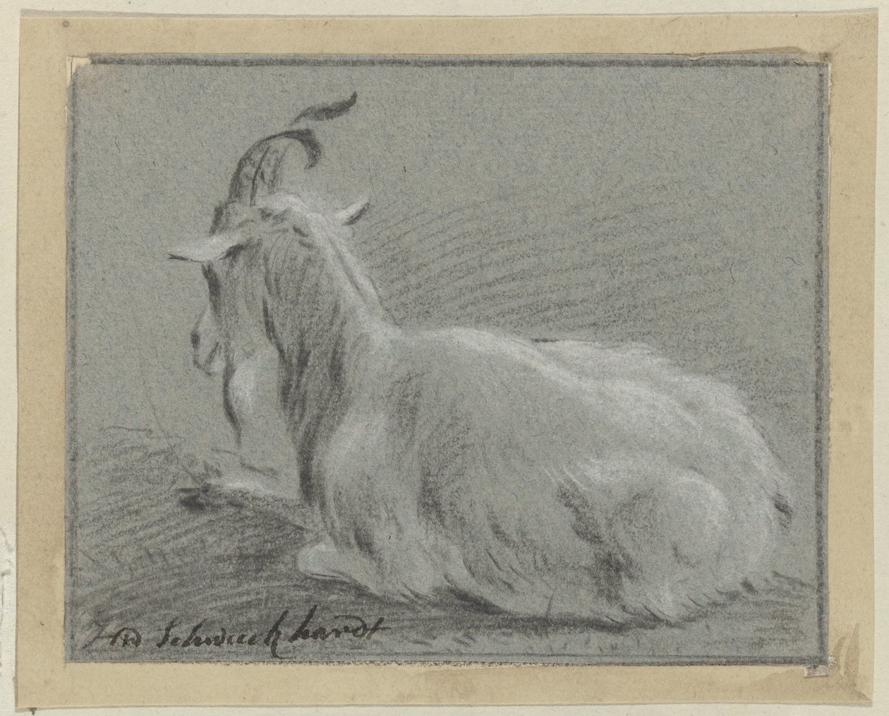 Chèvre couchée - Hendrik Willem Schweickhardt (signed by artist)