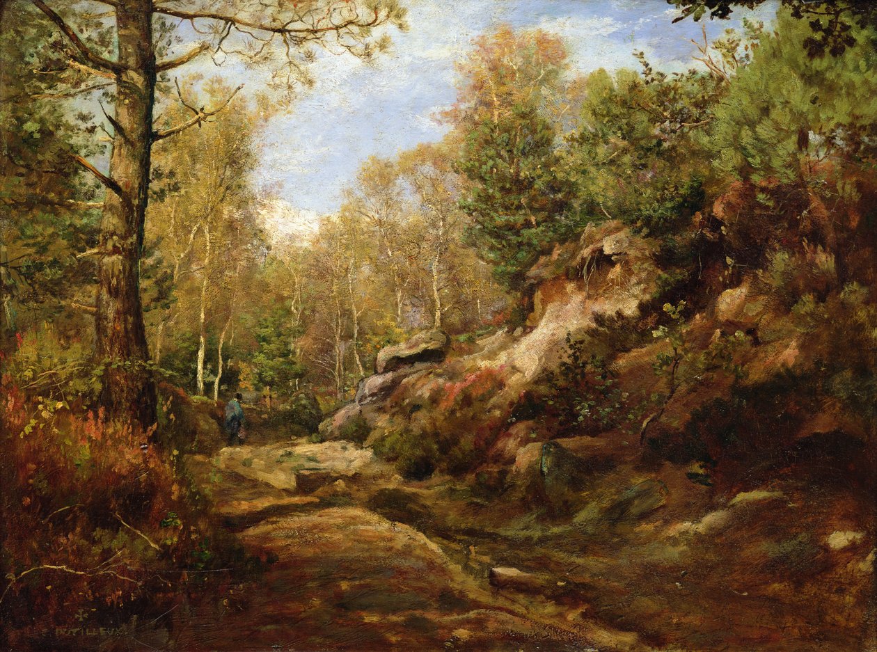 Pins et Bouleaux ou, La Forêt de Fontainebleau, vers 1855-57 - Henri Joseph Constant Dutilleux