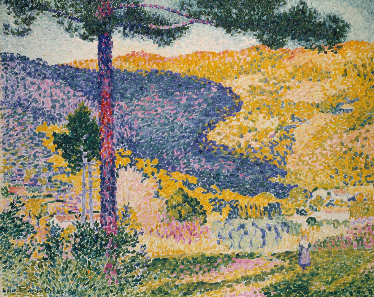 Vallée avec sapin (Ombre sur la montagne) - Henri Edmond Cross