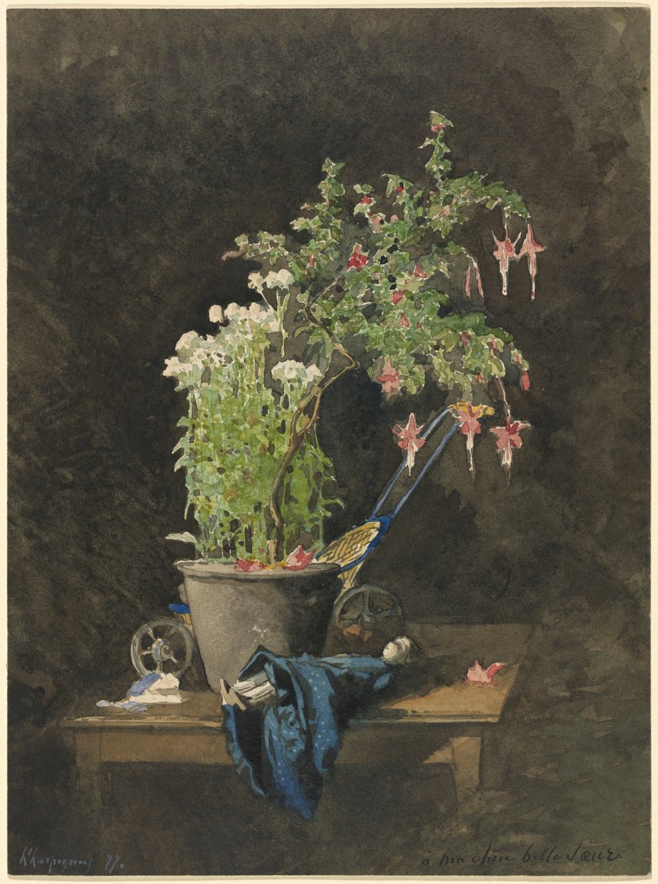 Un fuchsia en pot avec des jouets d