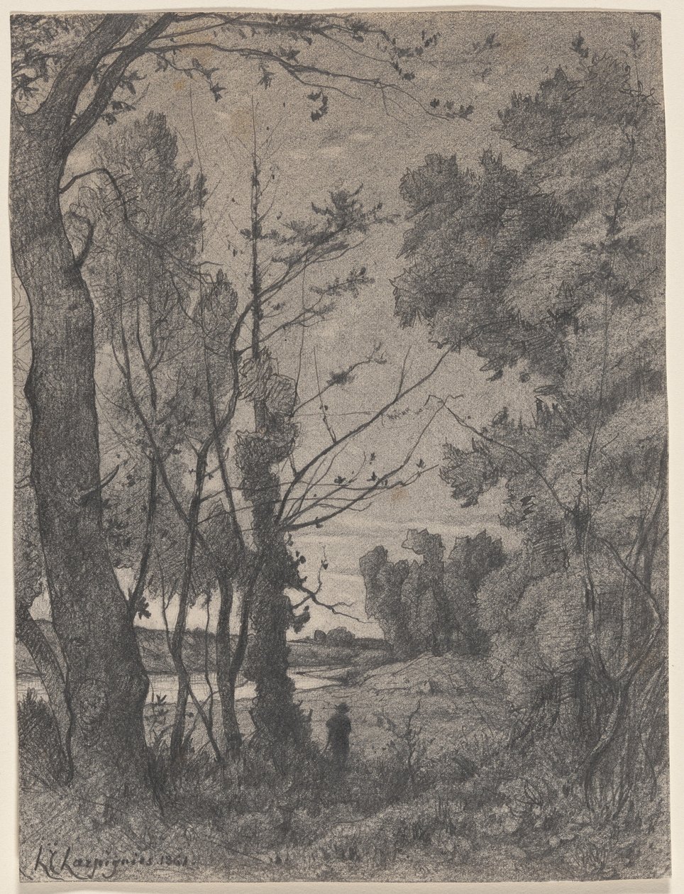 Paysage boisé au bord d