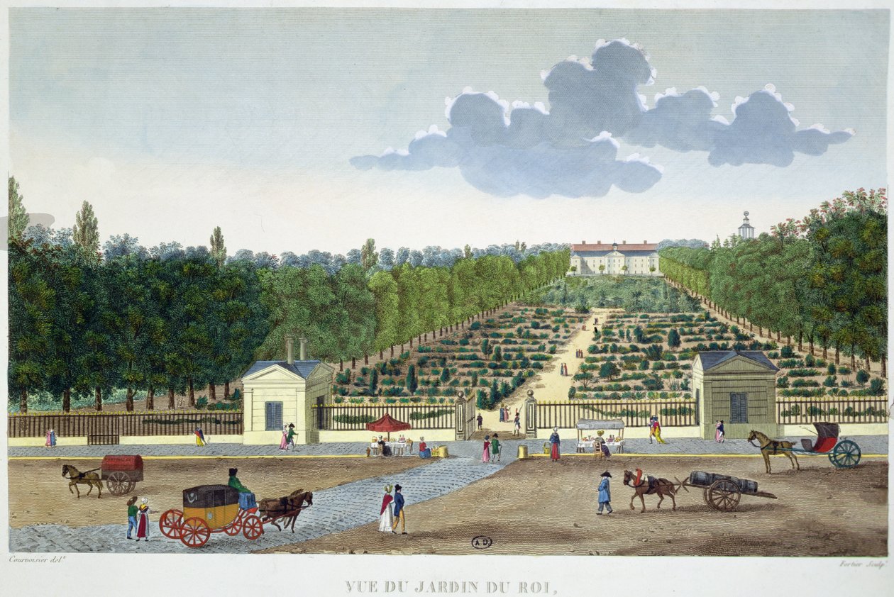 Vue du Jardin du Roi à Paris depuis le pont d