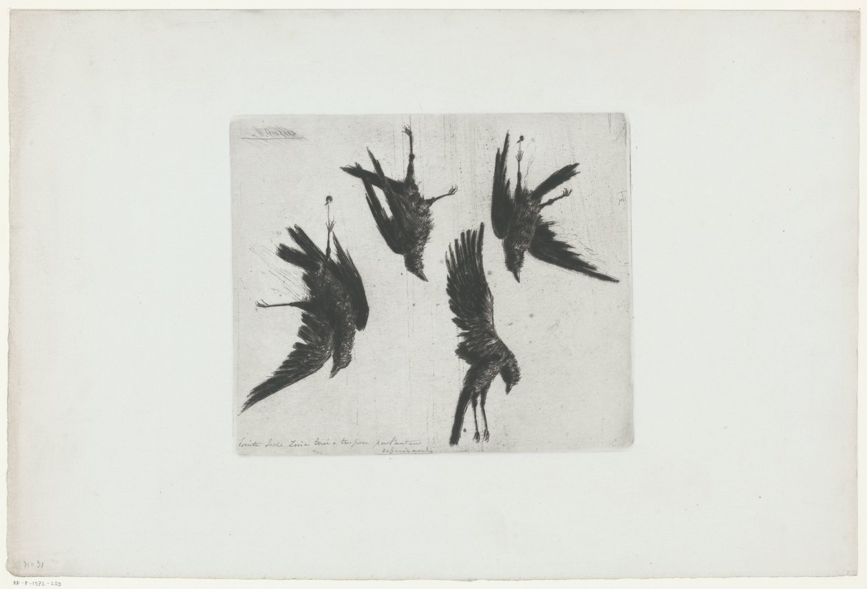 Quatre corbeaux morts suspendus à un mur - Henri Charles Guérard (signed by artist)