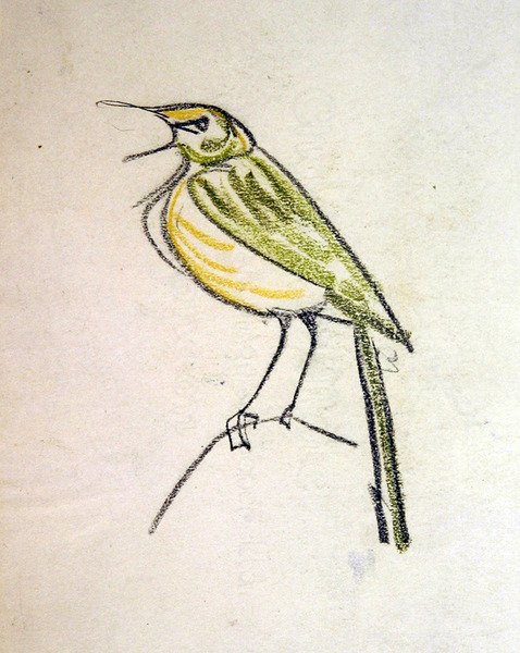 Oiseau - Henri Gaudier-Brzeska